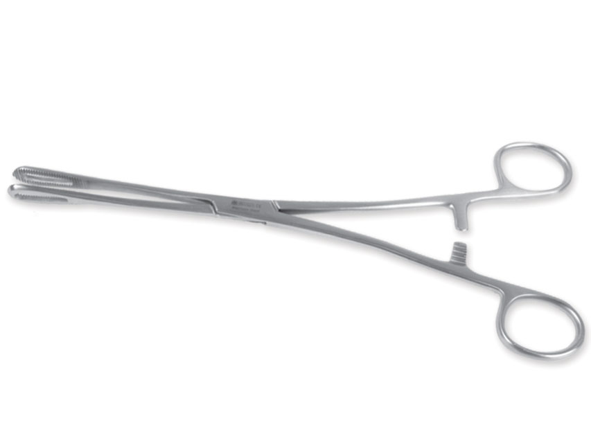 PINCE RAMPLEY - 24 cm
