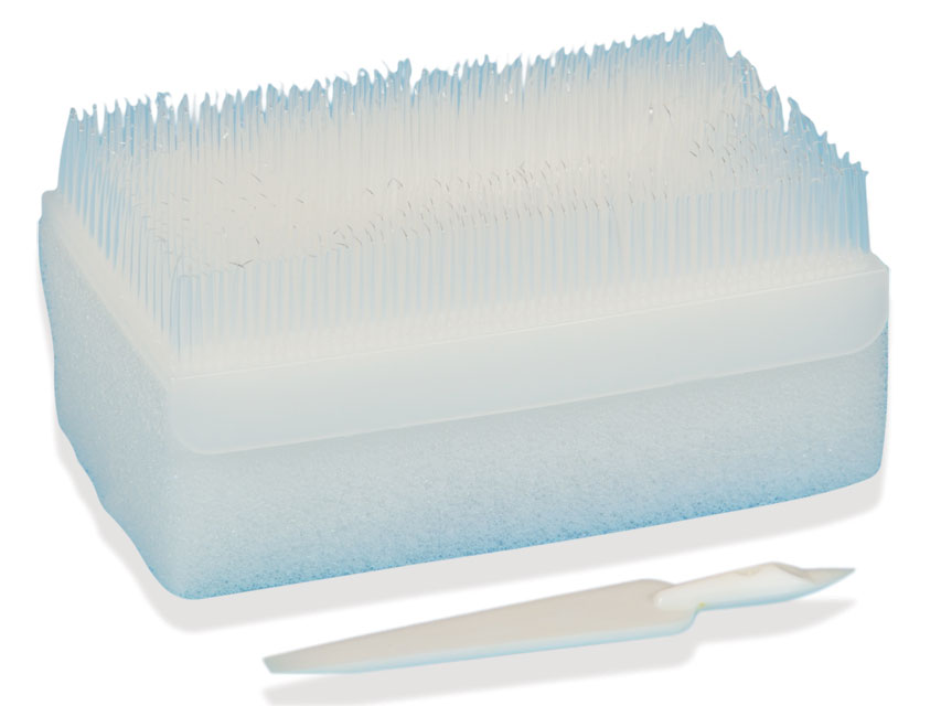 KIT SCRUB CHLOREXIDINA - Multilingv
