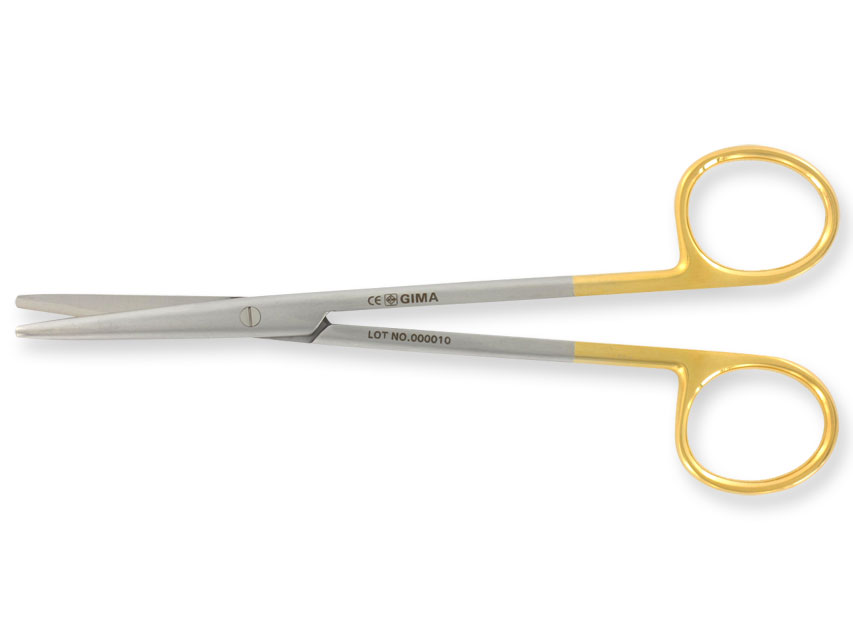 FOARCECĂ AUR METZENBAUM drepte - 20 cm
