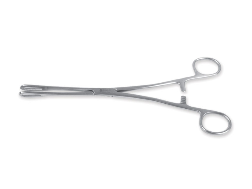 PINCE RAMPLEY - 18 cm